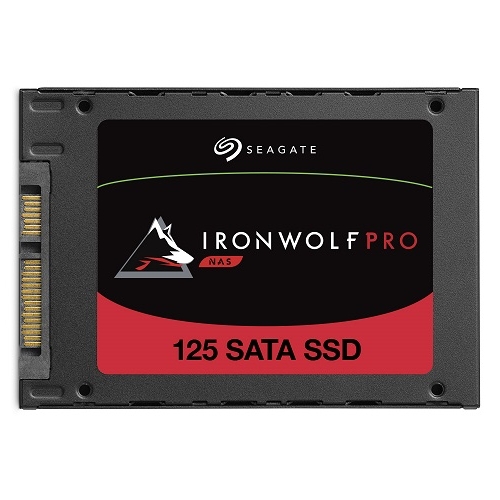 씨게이트 아이언울프 프로(IronWolf Pro) 125 SATA SSD