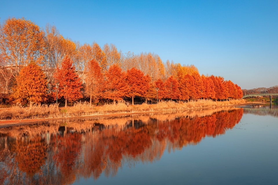 캐논 카메라로 촬영한 가을 풍경.